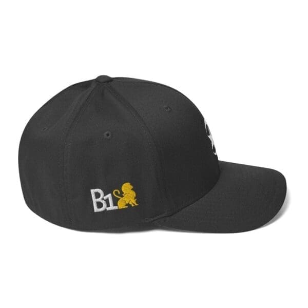 Star and Crescent NOI Structured Twill Cap - Image 14