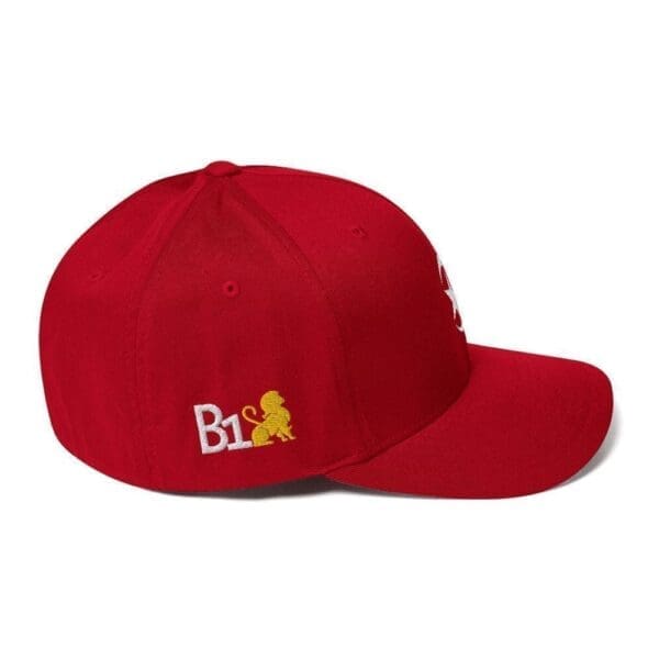 Star and Crescent NOI Structured Twill Cap - Image 11