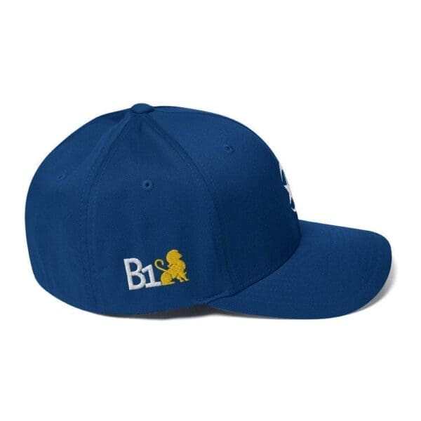 Star and Crescent NOI Structured Twill Cap - Image 8