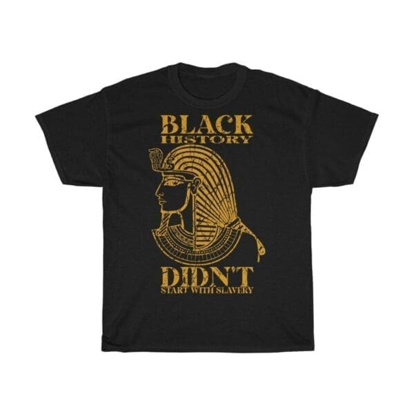 Black history didn't start with slavery Tee