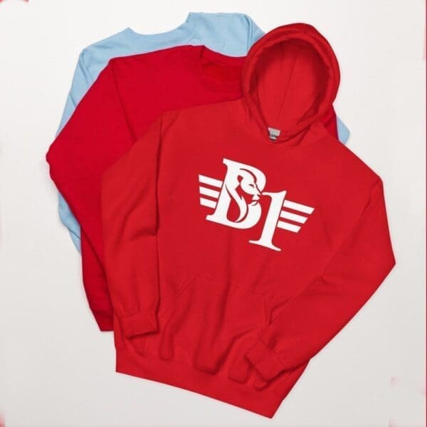 B1 Hoodie - Image 4