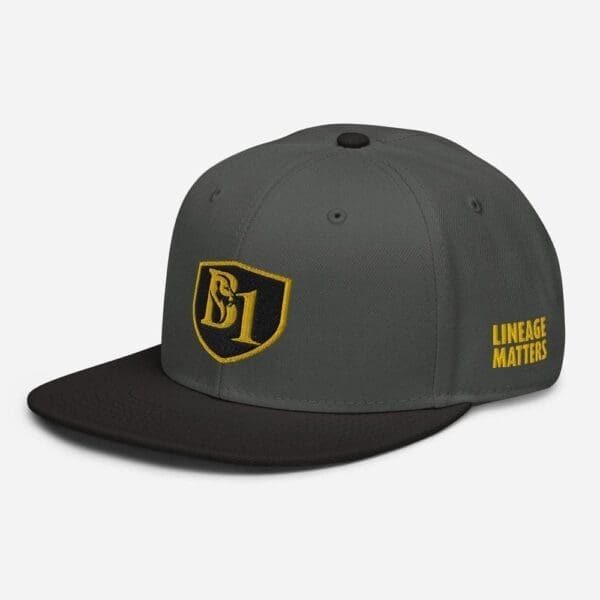 B1 SNAPBACK CUSTOM - Image 50