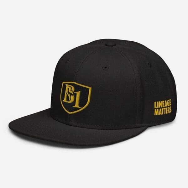 B1 SNAPBACK CUSTOM - Image 5