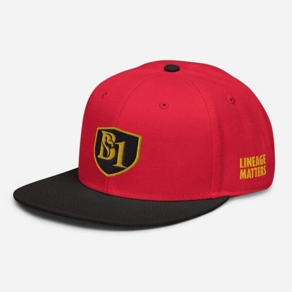 B1 SNAPBACK CUSTOM - Image 40
