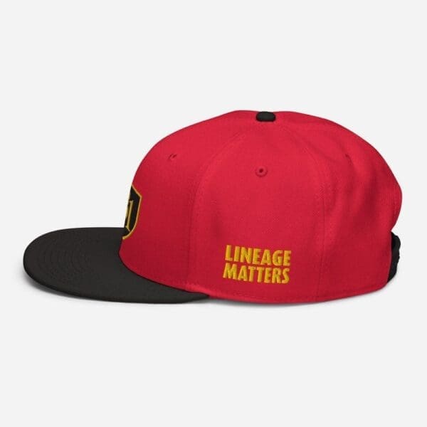 B1 SNAPBACK CUSTOM - Image 39