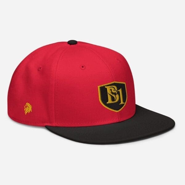 B1 SNAPBACK CUSTOM - Image 38