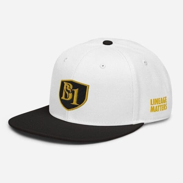 B1 SNAPBACK CUSTOM - Image 70