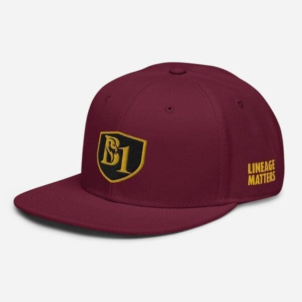 B1 SNAPBACK CUSTOM - Image 30