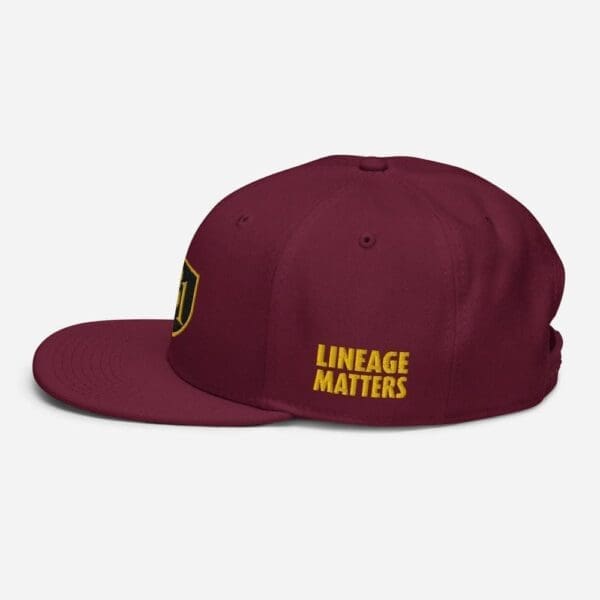 B1 SNAPBACK CUSTOM - Image 29