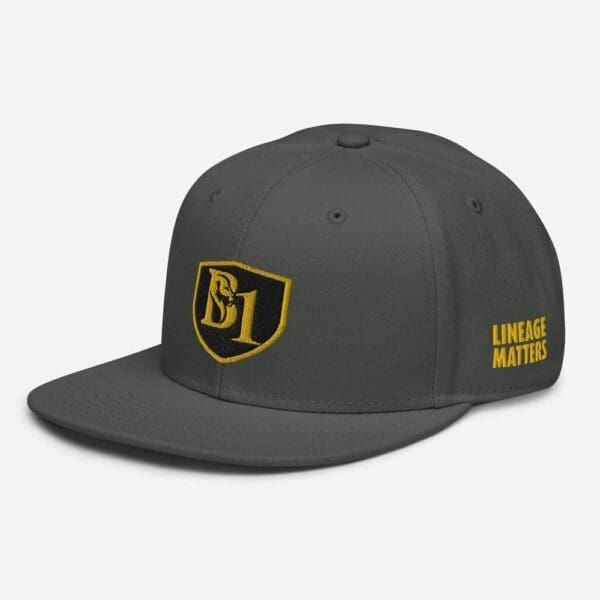 B1 SNAPBACK CUSTOM - Image 55