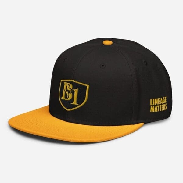 B1 SNAPBACK CUSTOM - Image 25