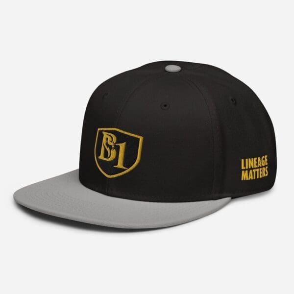 B1 SNAPBACK CUSTOM - Image 20