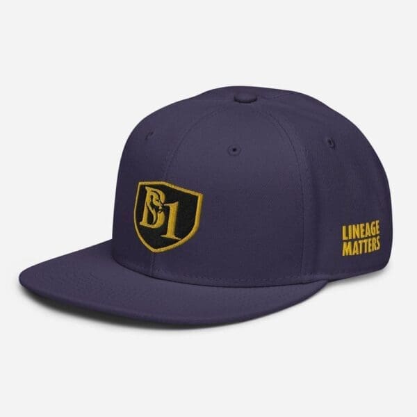 B1 SNAPBACK CUSTOM - Image 35