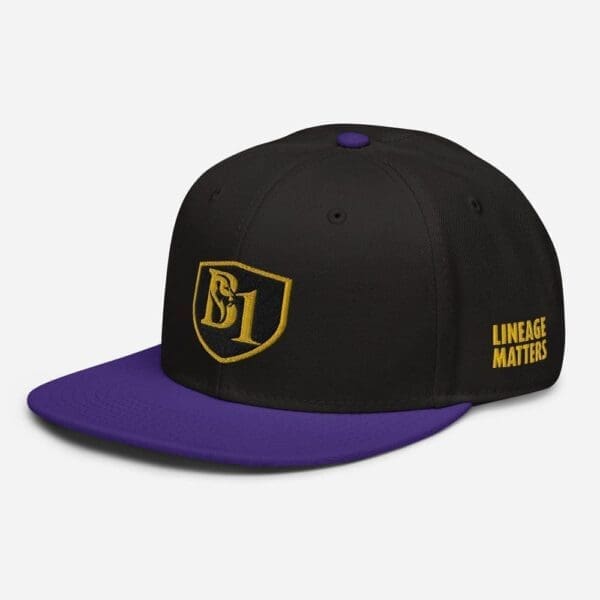 B1 SNAPBACK CUSTOM - Image 10
