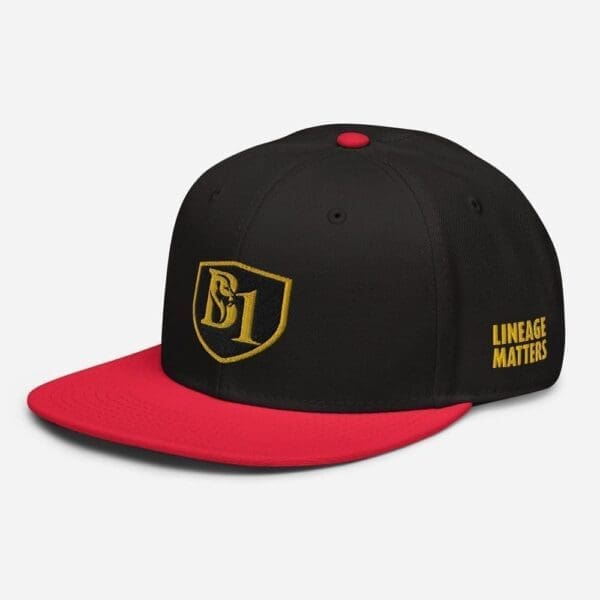 B1 SNAPBACK CUSTOM - Image 15