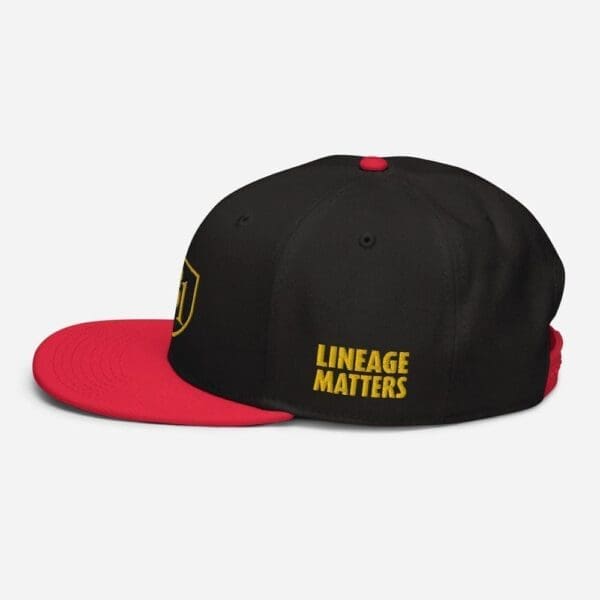B1 SNAPBACK CUSTOM - Image 14