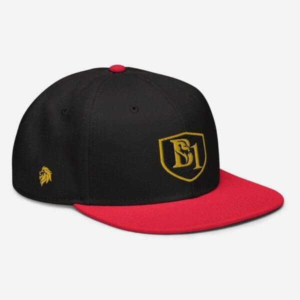 B1 SNAPBACK CUSTOM - Image 13