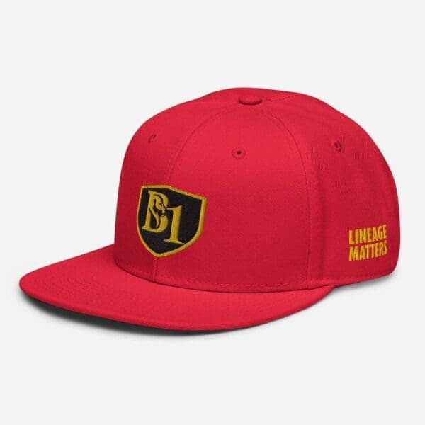 B1 SNAPBACK CUSTOM - Image 45