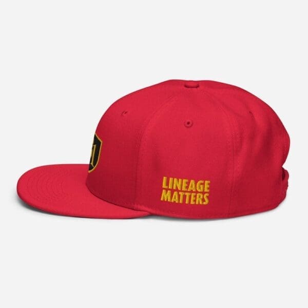 B1 SNAPBACK CUSTOM - Image 44