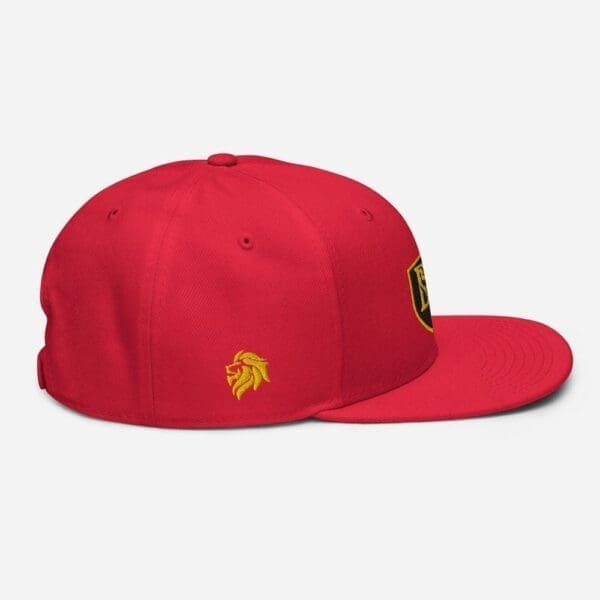 B1 SNAPBACK CUSTOM - Image 42