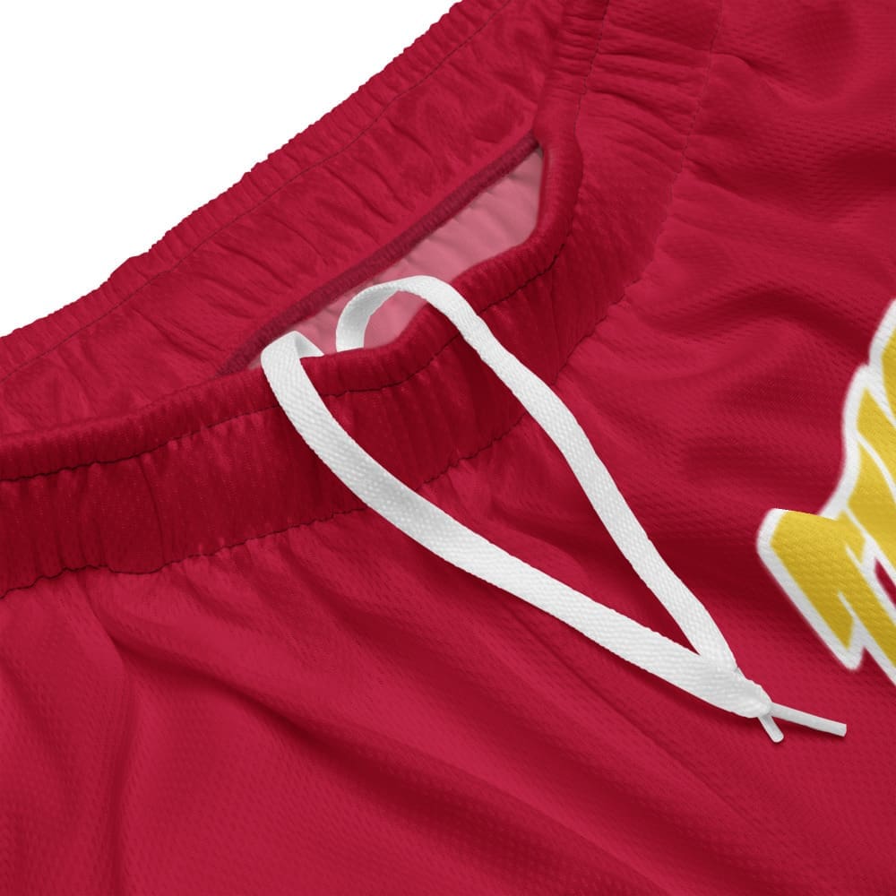 Basketball mesh shorts Black history