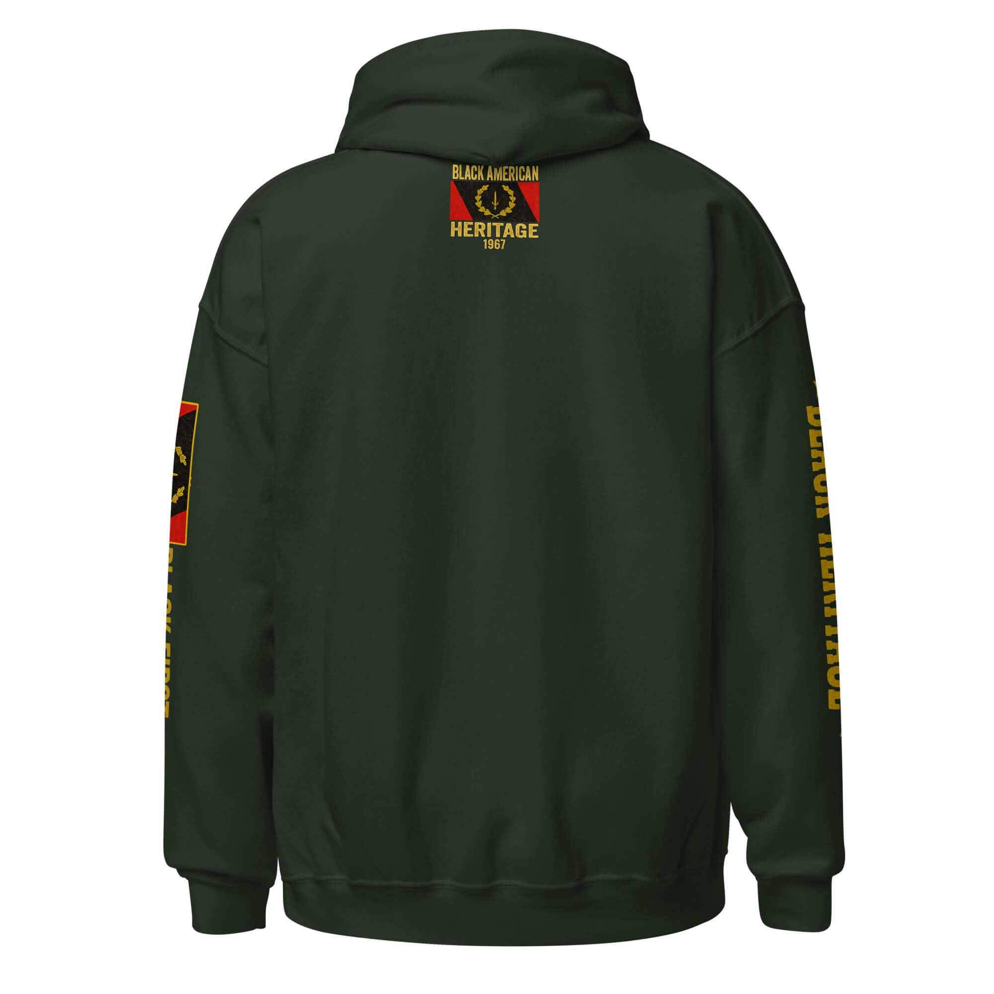 Back view of the B1Clothing Co. Black American Heritage 1967 Flag Hoodie in forest green.